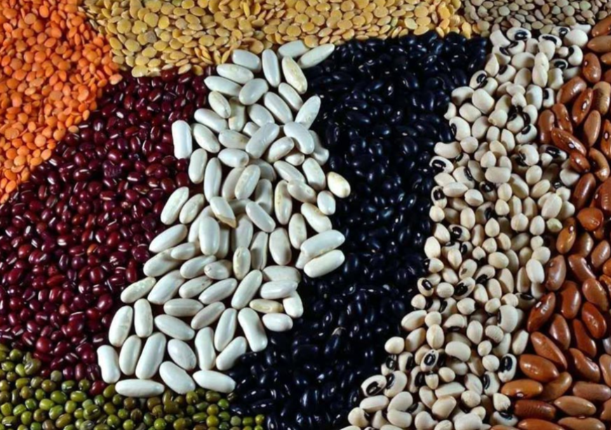 Pulses